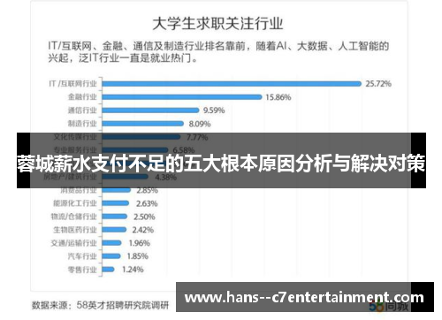 蓉城薪水支付不足的五大根本原因分析与解决对策