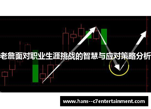 老詹面对职业生涯挑战的智慧与应对策略分析