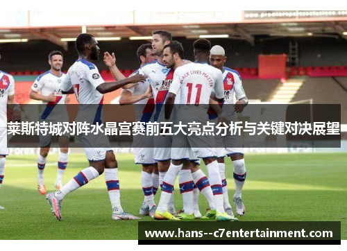 莱斯特城对阵水晶宫赛前五大亮点分析与关键对决展望