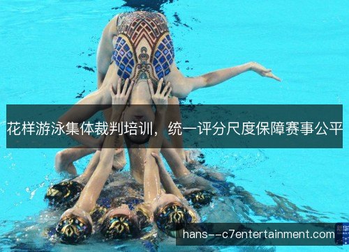 花样游泳集体裁判培训,统一评分尺度保障赛事公平 花样游泳集体裁判培训,统一评分尺度保障赛事公平